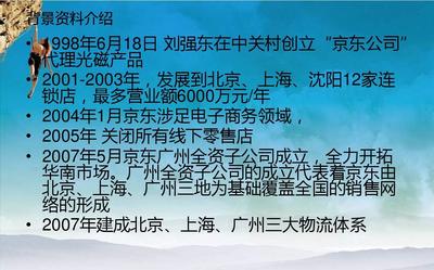京东企业战略管理分析